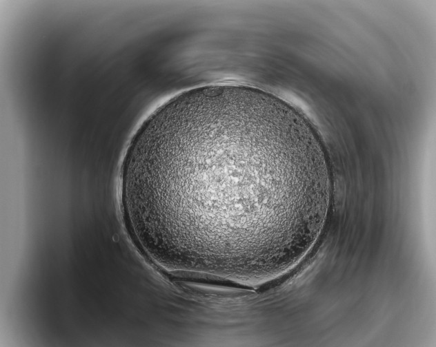 X0000093411424200710190936