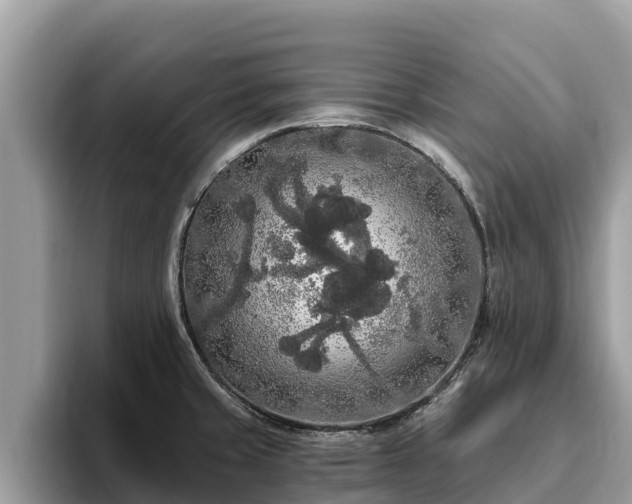 X0000093411429200710190936