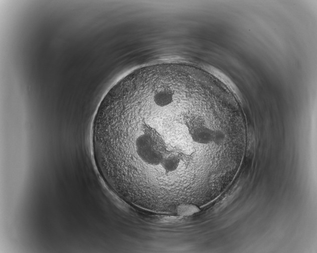 X0000093411439200710190936