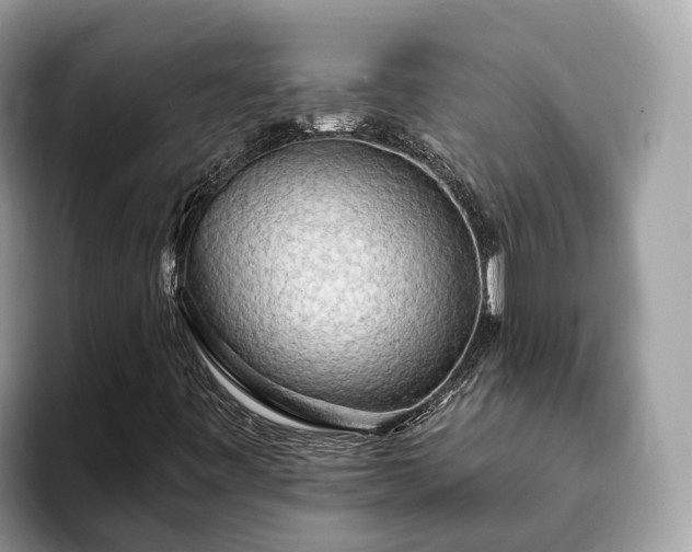 X0000093411443200710190935