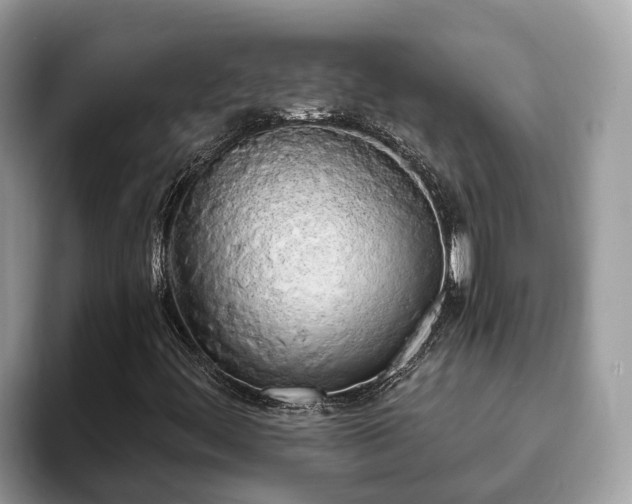 X0000093411444200710190935