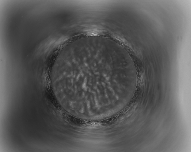 X0000093411446200710190935