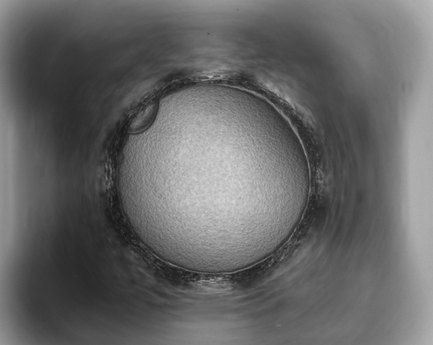 X0000093411447200710190935