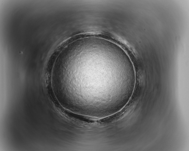 X0000093411448200710190935