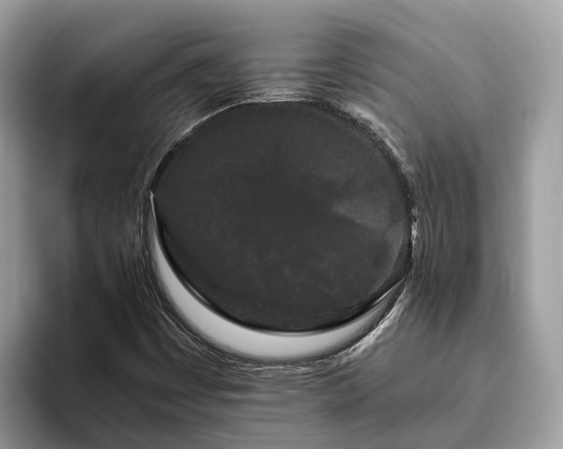 X0000093411449200710190935