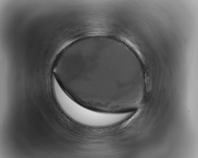 X0000093411453200710190935