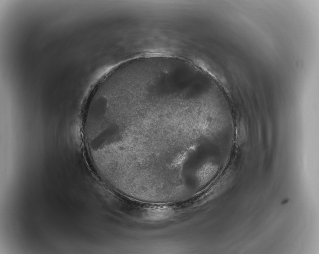 X0000093411454200710190935