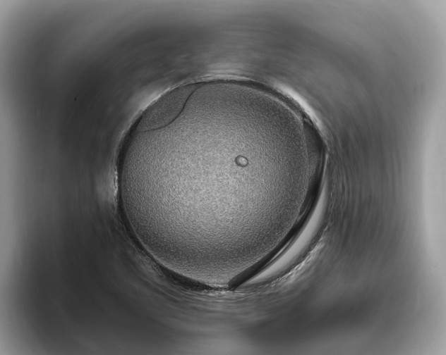 X0000093411461200710190935