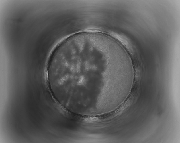 X0000093411462200710190935