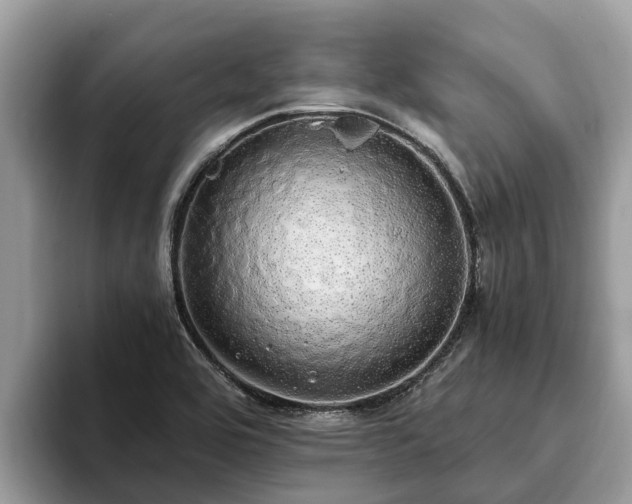 X0000093411464200710190935