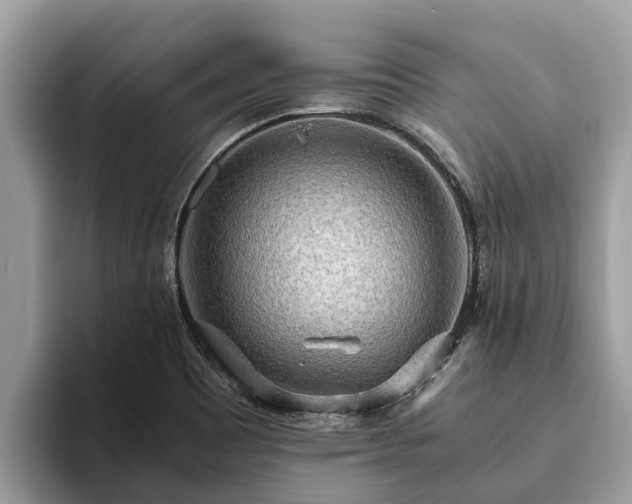 X0000093411465200710190935