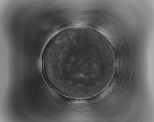 X0000093411466200710190935