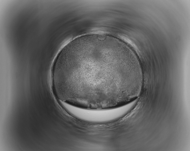 X0000093411467200710190935