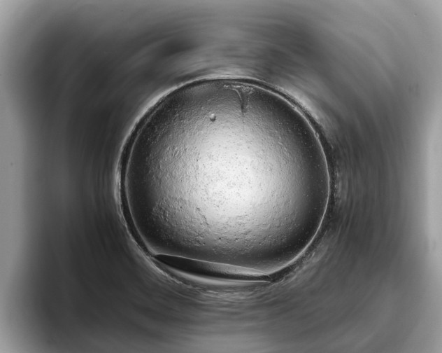 X0000093411468200710190935