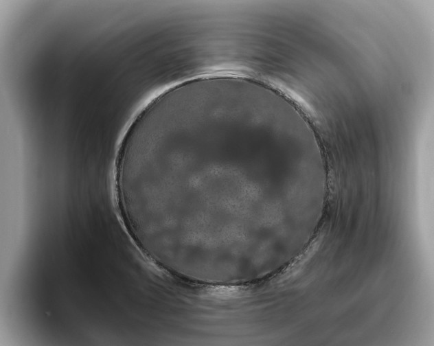 X0000093411470200710190935