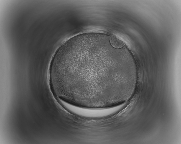 X0000093411471200710190935