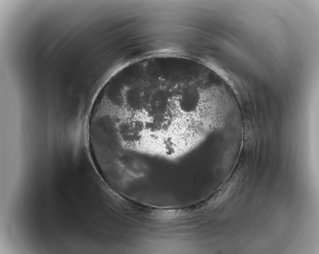 X0000093411474200710190935