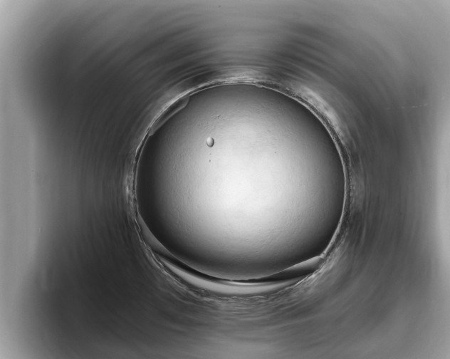 X0000093411481200710190935