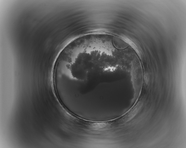 X0000093411482200710190935