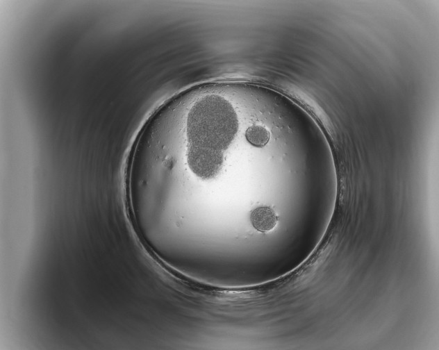 X0000093411483200710190935