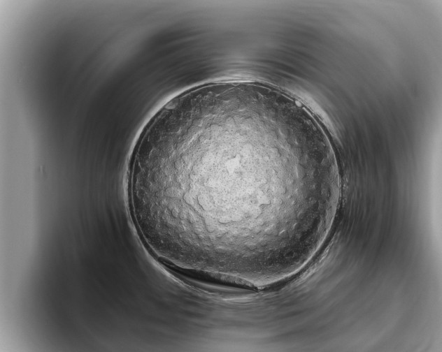 X0000093411484200710190935