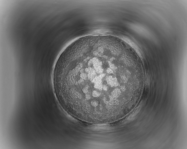 X0000093411486200710190935