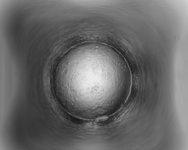 X0000093411489200710190934