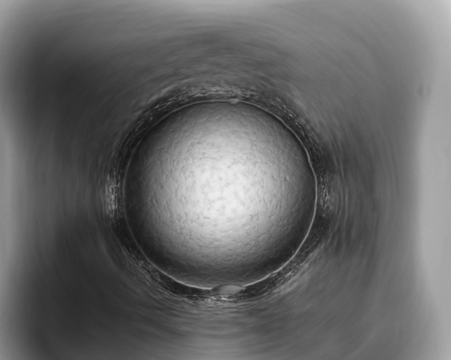 X0000093411490200710190934