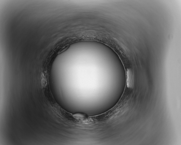 X0000093411491200710190934