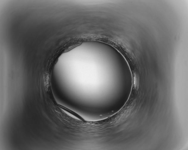 X0000093411492200710190934