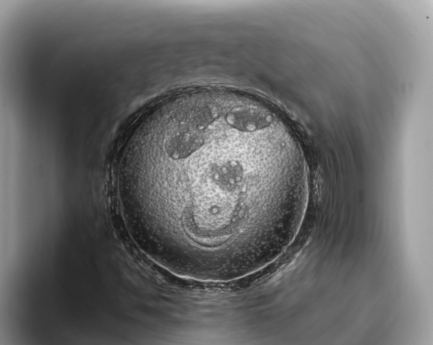 X0000093411494200710190934