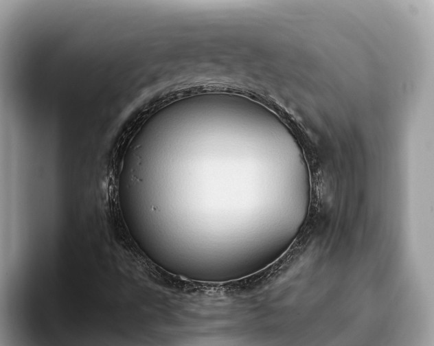 X0000093411495200710190934