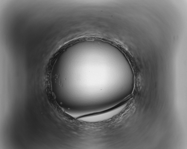 X0000093411496200710190934