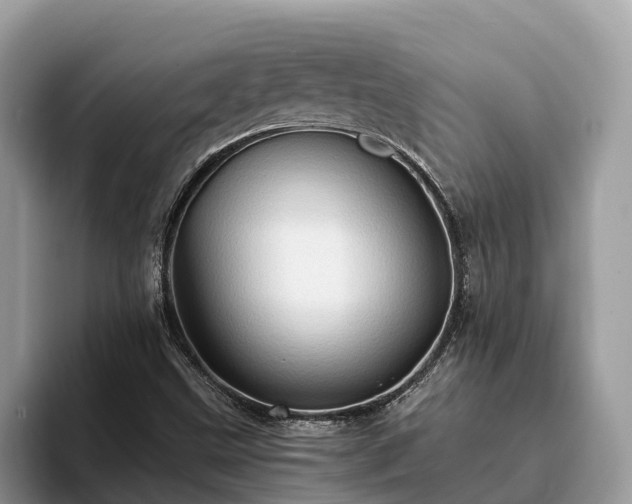 X0000093411499200710190934