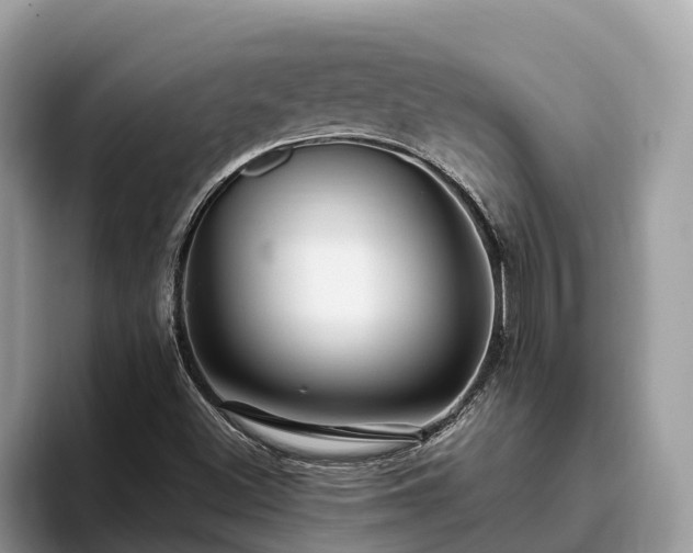 X0000093411500200710190934