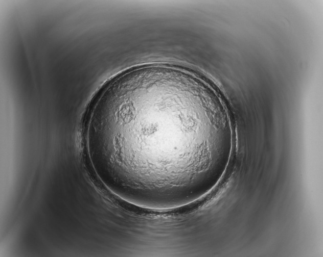 X0000093411501200710190934