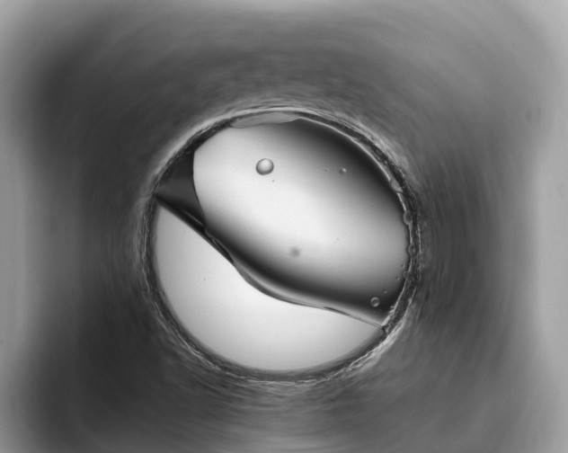 X0000093411502200710190934