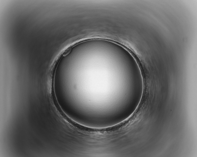 X0000093411504200710190934