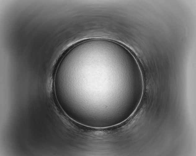 X0000093411507200710190934