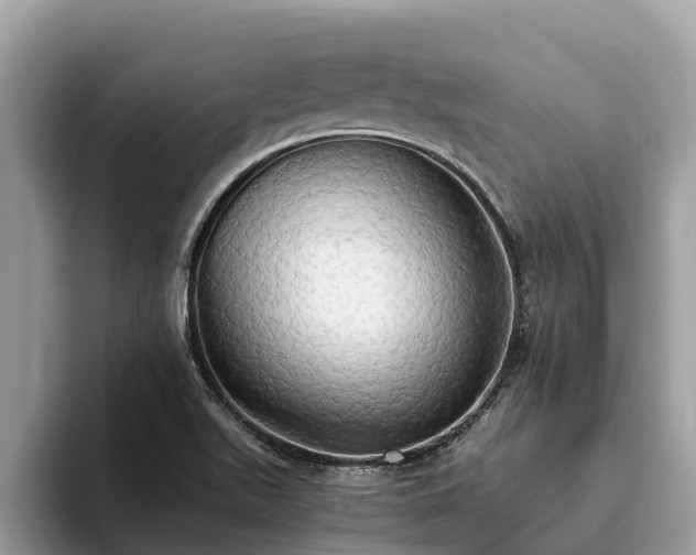 X0000093411511200710190934