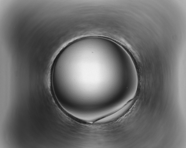 X0000093411512200710190934