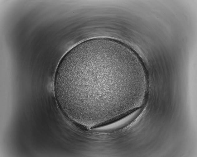 X0000093411513200710190934