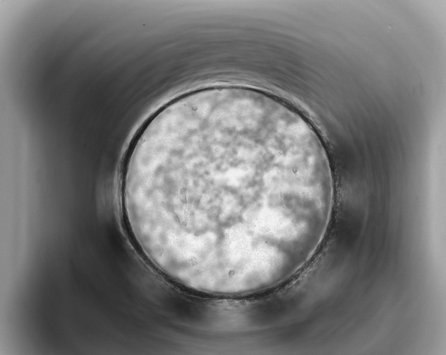 X0000093411514200710190934