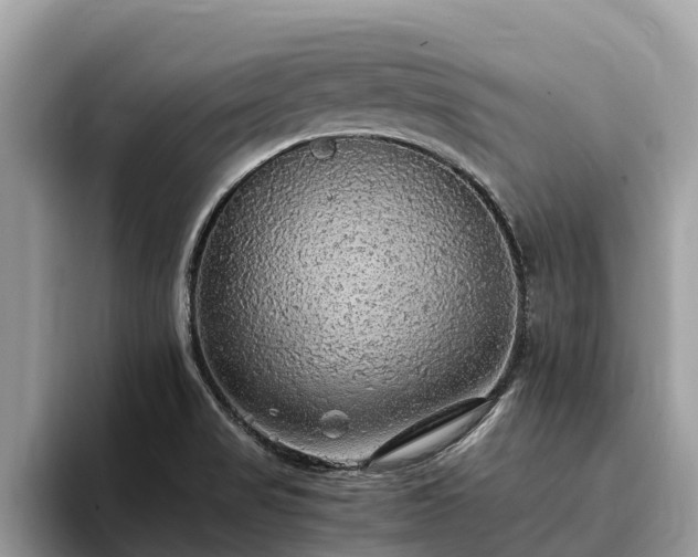 X0000093411517200710190934