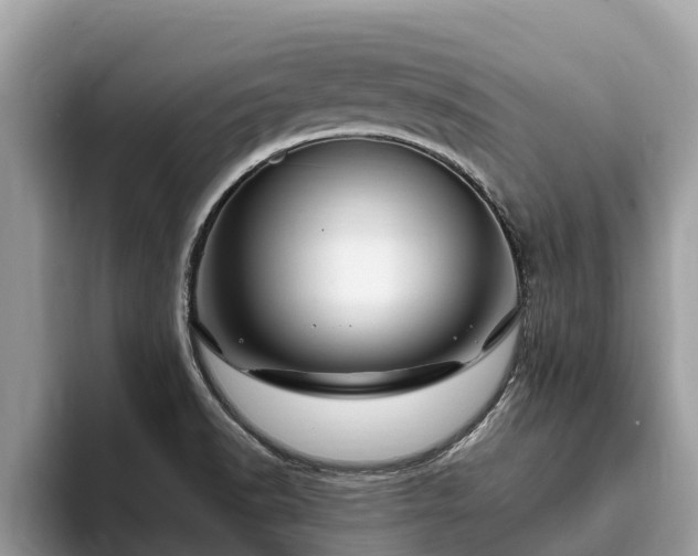 X0000093411518200710190934