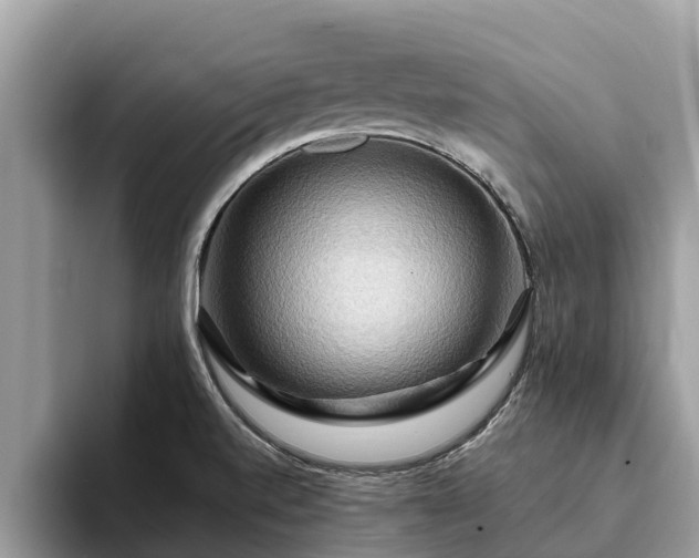 X0000093411520200710190934