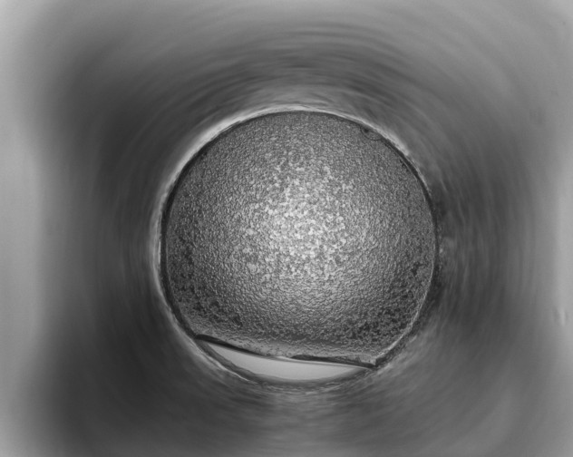 X0000093411523200710190934