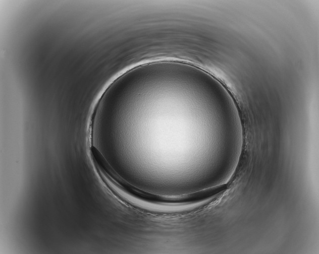 X0000093411524200710190934