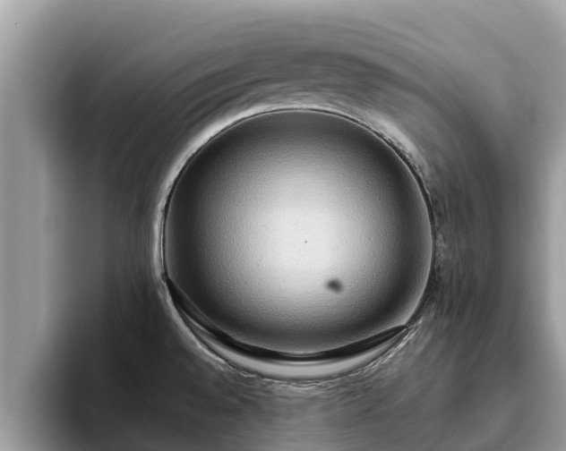 X0000093411528200710190934