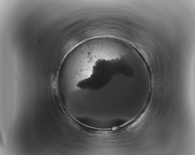 X0000093411529200710190934